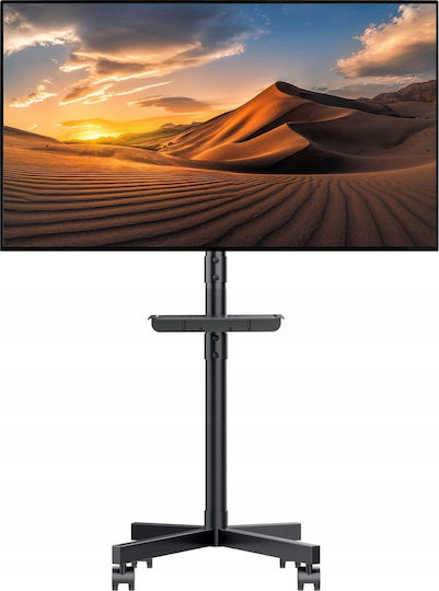Maclean Energy MC-949 Βάση Τηλεόρασης Δαπέδου έως 55" και 25kg Ασημί