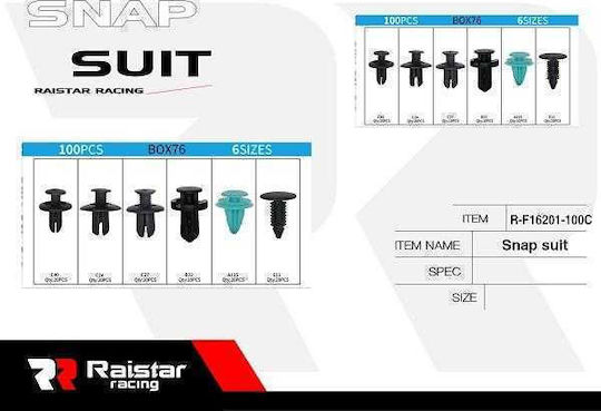 Raistar Car Plastic Clips 100pcs