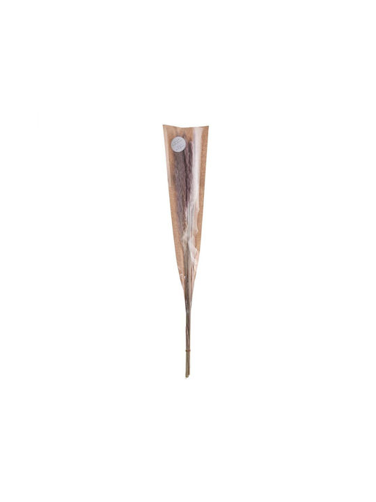 Florista Pampasgras 70cm Natur Kunststoff