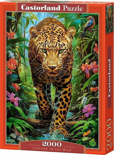 Castorland Puzzle 2000 Leopard In Wild Castor