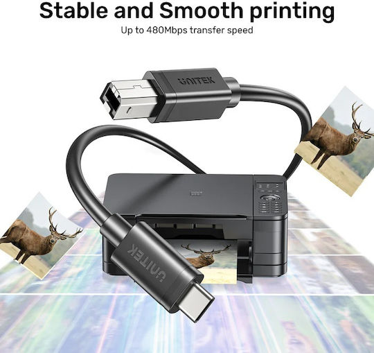 Unitek USB 2.0 Cable USB-C male - USB-B Μαύρο 3m C14140ABK-3M