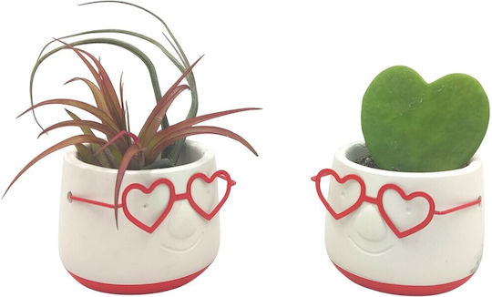Fatsoula Glasses Kardoula Plant Pot Multicolour Fatsoula Glasses Kardoula Plant Pot Multicolour