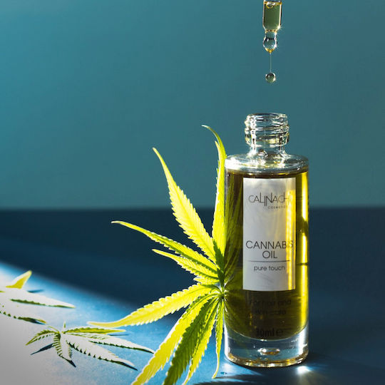 Calinachi Trocken Gesichtsöl für Feuchtigkeitsspendend und Wiederherstellen mit Öl Cannabis 30ml
