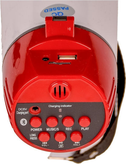 Megaphone