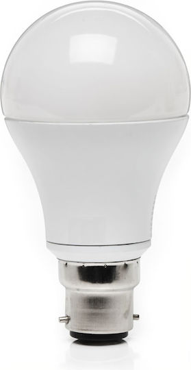 Diolamp LED Bulb 15W 111mm for Socket B22 and Shape A60 Warm White 1330lm