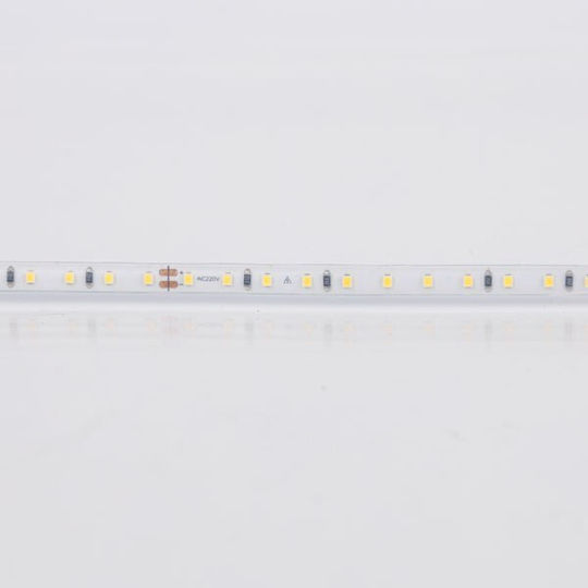 Eurolamp LED Лента 220V 10м