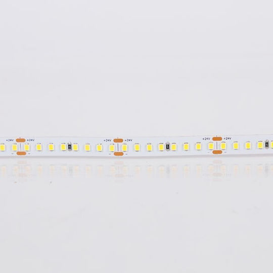 Eurolamp Ταινία LED 24V Ψυχρό Λευκό Φως 5m Τύπου SMD2835