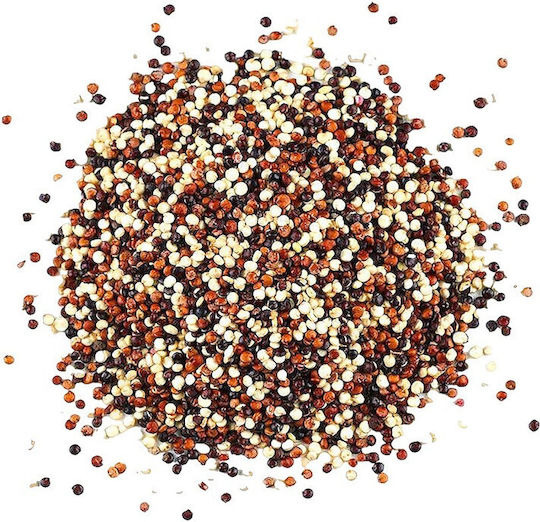 Μπαχαραδικο Κινόα Τρίχρωμη Bio 250gr