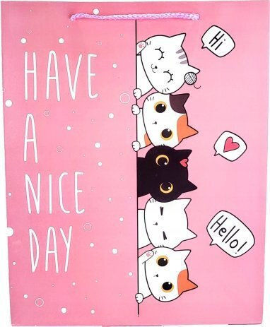 Ast Bag X 12 Gift Cats 4 Wz 40x30x12 Cm