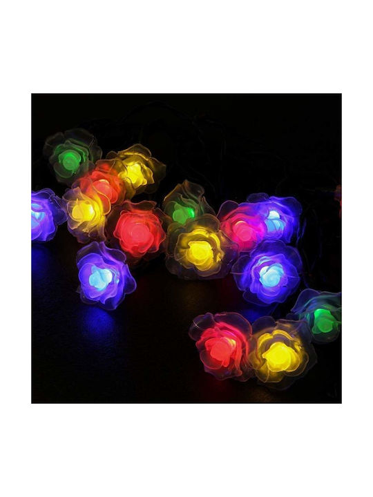 Garland Lights Exterior