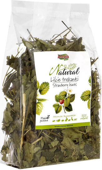 Alegia Treat with Strawberry for Guinea Pig and Rabbit 90gr