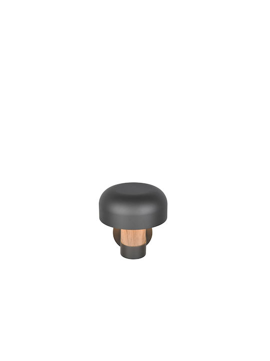 Trio Lighting Fraser Стенно Външно Осветително Тяло