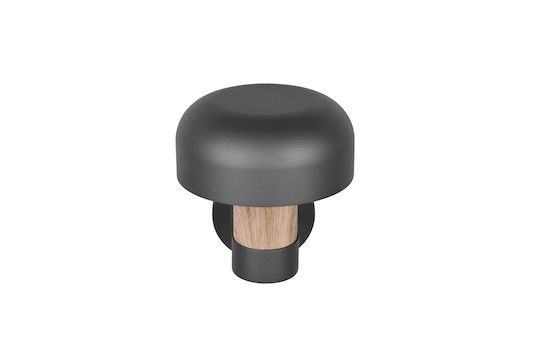 Trio Lighting Fraser Lumină de exterior montată pe perete