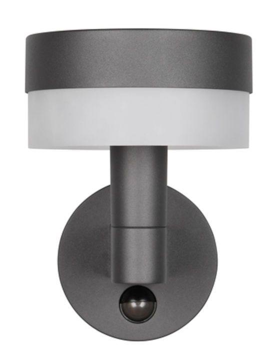 Trio Lighting Mackenzie Стенно Външно Осветително Тяло