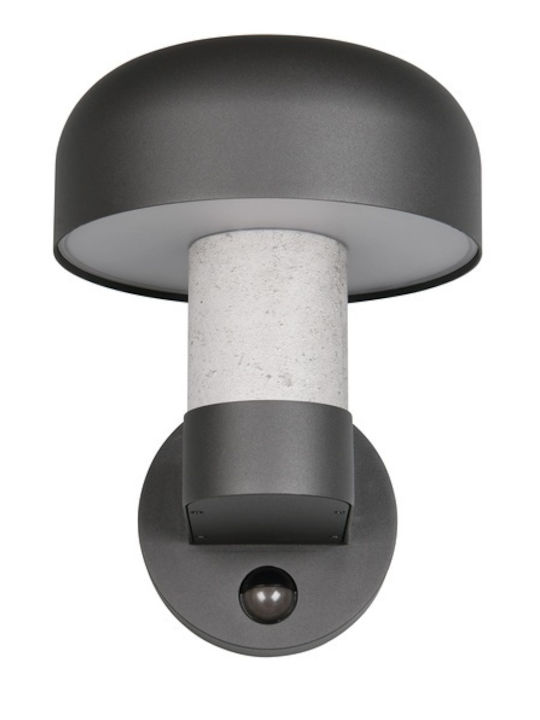Trio Lighting Fraser Wandmontierte Außenleuchte