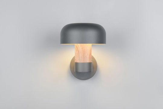 Trio Lighting Fraser Lumină de exterior montată pe perete