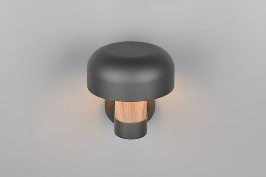 Trio Lighting Fraser Lumină de exterior montată pe perete