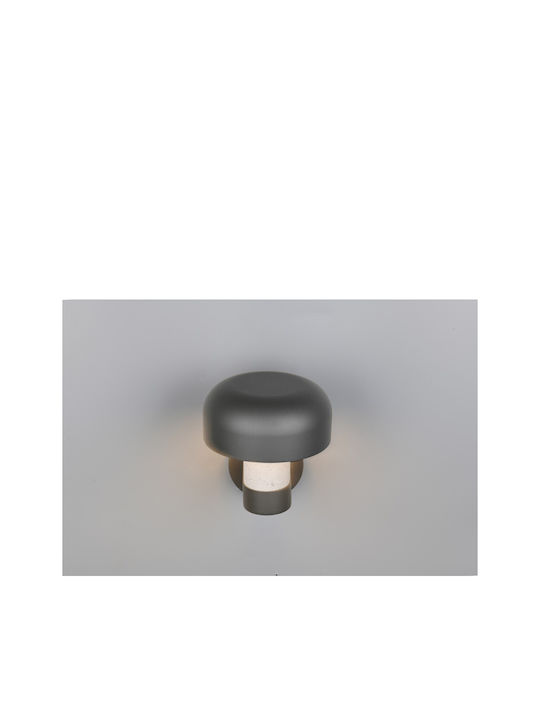 Trio Lighting Fraser Lumină de exterior montată pe perete