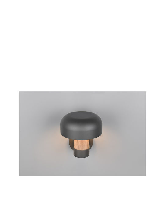 Trio Lighting Fraser Стенно Външно Осветително Тяло