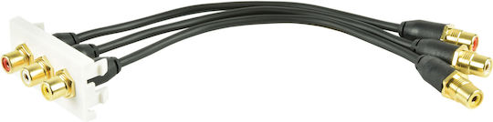 Av Link Wall Plate Module 3rca Audio-video 122.555uk