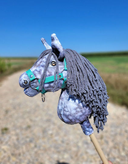 Super Hobby Horse Imitation Game