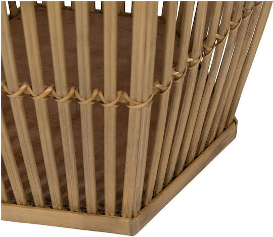 Ixia Regal Σετ 2 Γλάστρες Bamboo