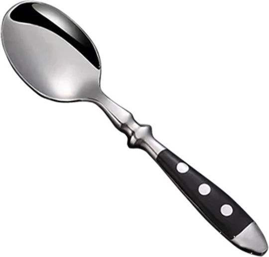 Dinox Dessert Ice Cream Stainless Steel Black 15.2cm LAMDA-4012 12 Pieces Dinox Dessert Ice Cream Stainless Steel Black 15.2cm LAMDA-4012 12 Pieces