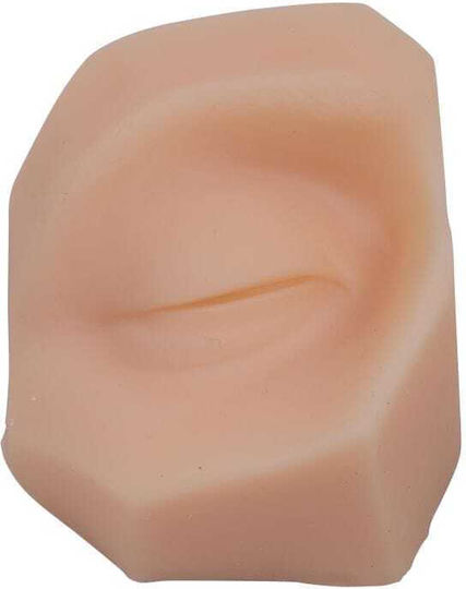 Erler Zimmer Suture Training Face Parts