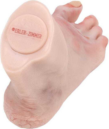 Training Manikin "Diabetic Foot Actinic Resection" Erler Zimmer