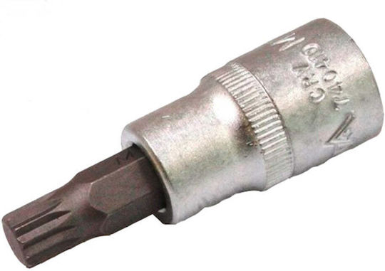 Καρυδάκι Πολύσφηνο Xzn M10 Κοντό 1/2"
