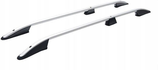 Omtec City 2019 (with Roof Rack Legs) Silver