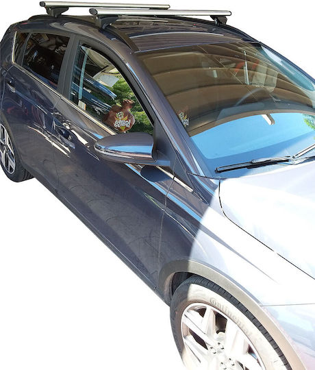 Menabo 120cm. 2021+ (with Roof Rack Legs) Silver