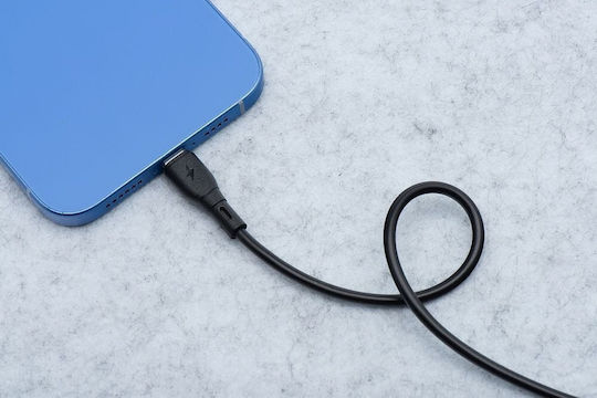 Blue Star USB 2.0 Cable USB-C male - USB-C 60W Μαύρο 2m
