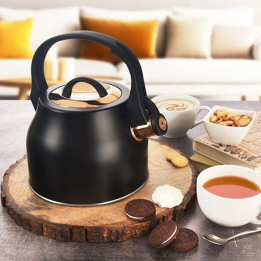 Orion Stainless Steel Teapot 3000ml