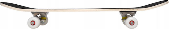 Master Complete Shortboard