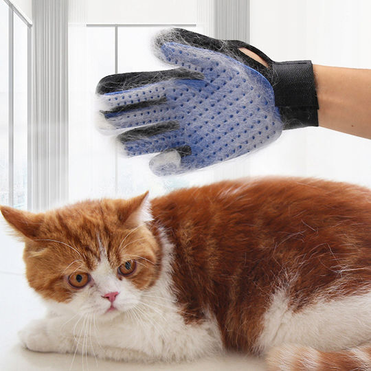 Handschuh für langhaarige Hunde zur Fellreinigung Blau