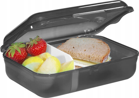 Step By Step Dino Tres Lunchbox
