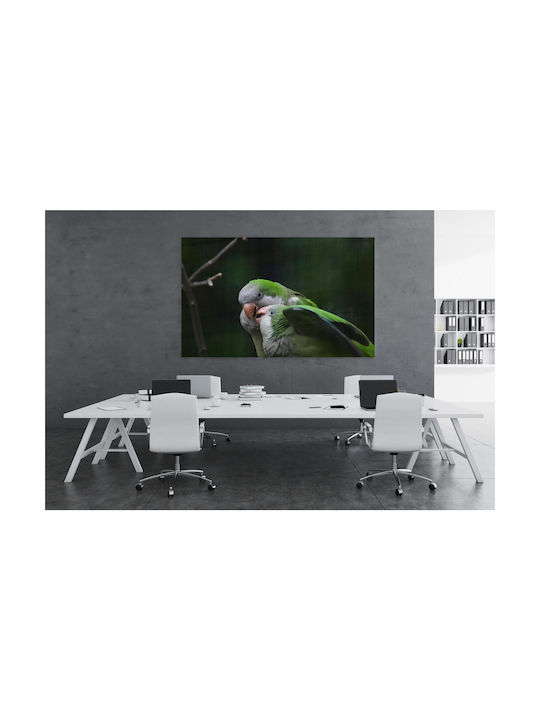 Πίνακας Pair Parrots In Nature Ζευγάρι Παπαγάλων Στη Φύση 100x70