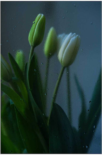 Painting Tulips Behind Glass 100x150