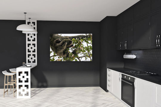 Πίνακας Sloth Baby In Tree Sloth Baby In Tree 90x60