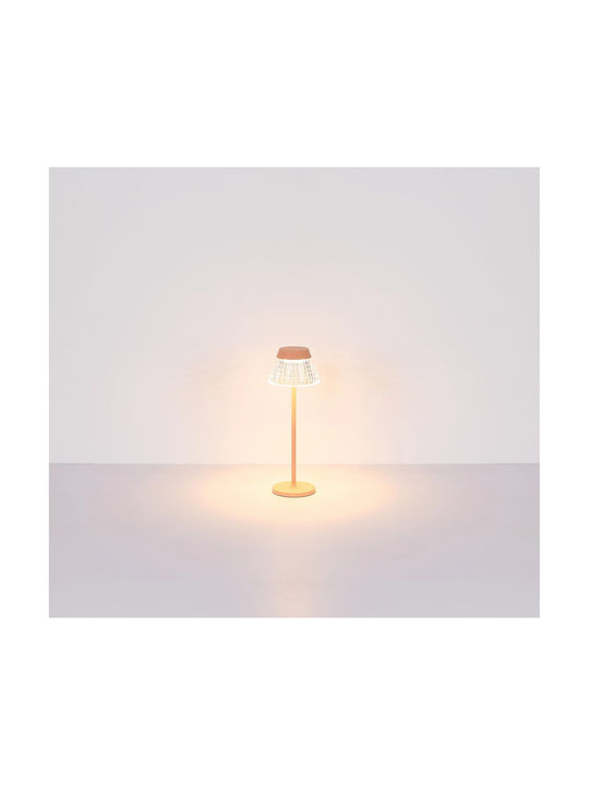 Globo Lighting Decorative Lamp Transparent