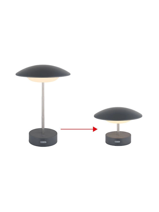 Globo Lighting Dekorative Lampe Gray