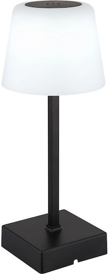 Globo Lighting Dekorative Lampe Schwarz