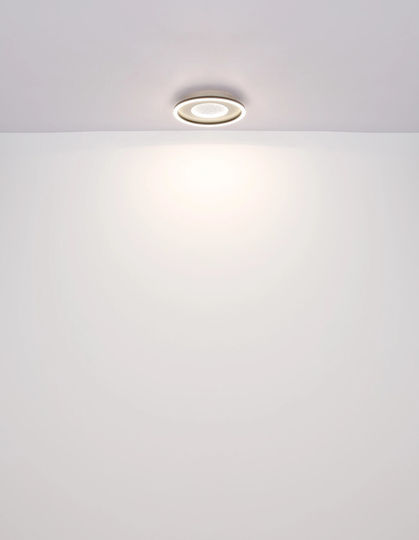 Globo Lighting Πλαφονιέρα Οροφής Γκρι