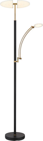 Globo Lighting Floor Lamp Brown