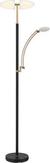 Globo Lighting Floor Lamp Brown