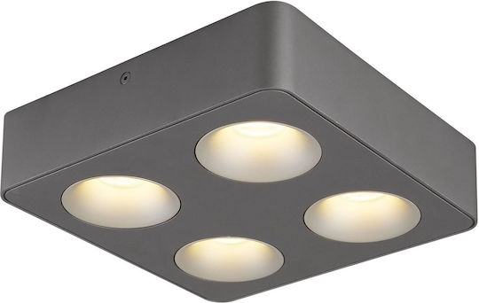 Globo Lighting LED Warm White Spot with 4 Lights in Gray Color Globo Lighting LED Warm White Spot with 4 Lights in Gray Color