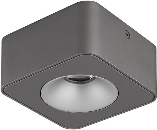 Globo Lighting Single LED Warm White Spot in Gray Color