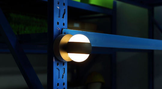 Globo Lighting Randi Leuchte Wand Schwarz