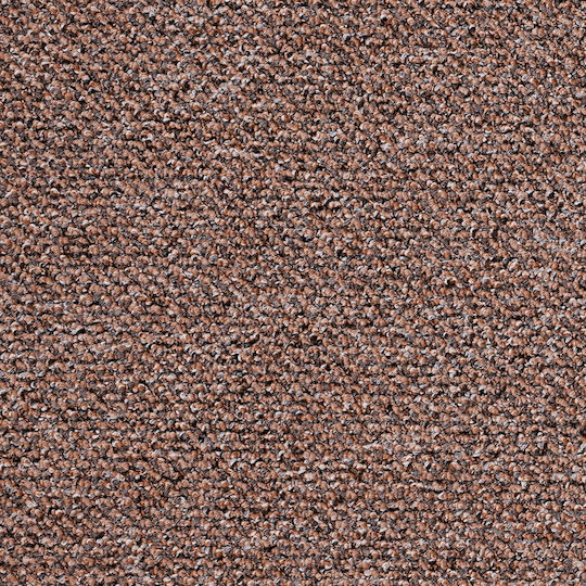 Βιοκαρπέτ Roho 200x290cm